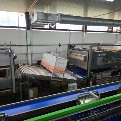 WhatsApp Image 2025-12-16 at 22.34.53 (7)