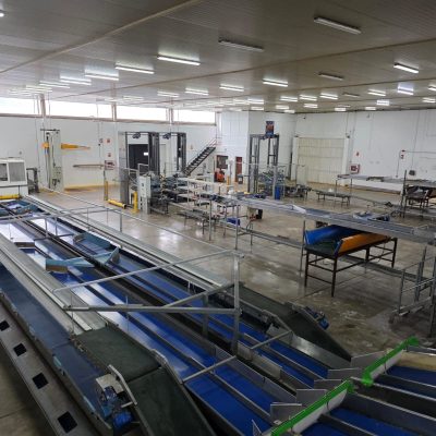 WhatsApp Image 2025-12-16 at 22.34.54 (2)