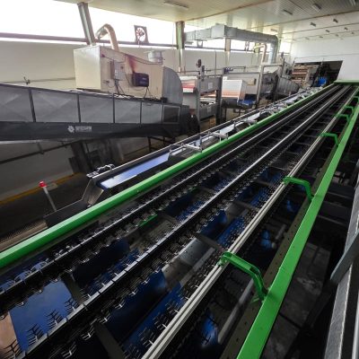 WhatsApp Image 2025-12-16 at 22.34.54 (4)