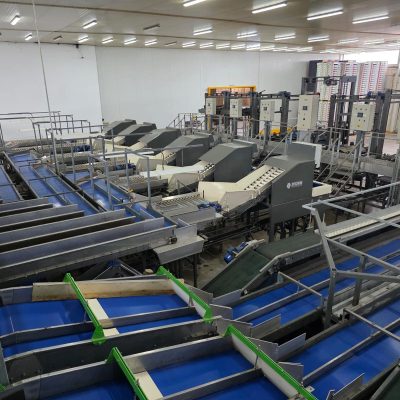 WhatsApp Image 2025-12-16 at 22.34.54