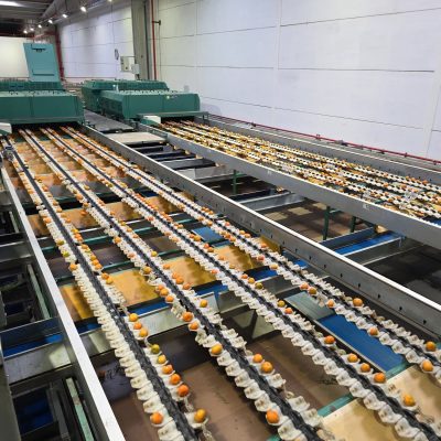 WhatsApp Image 2025-12-17 at 17.52.08