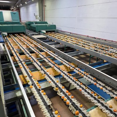 WhatsApp Image 2025-12-17 at 17.52.09 (1)