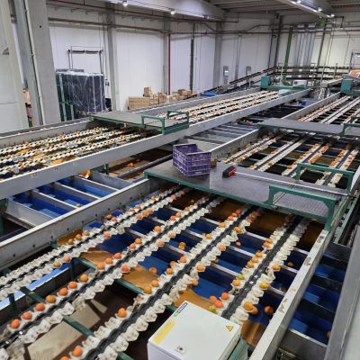 WhatsApp Image 2025-12-17 at 17.52.09 (2)