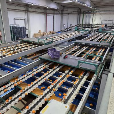 WhatsApp Image 2025-12-17 at 17.52.09