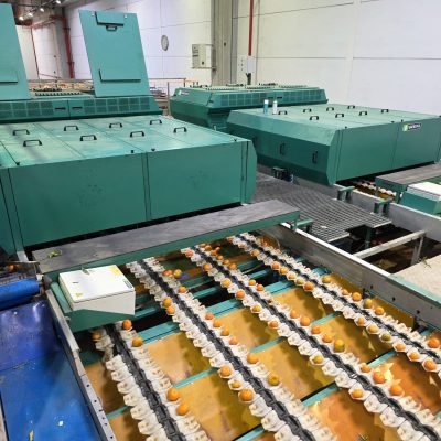 WhatsApp Image 2025-12-17 at 17.52.10 (1)