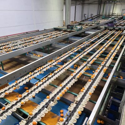 WhatsApp Image 2025-12-17 at 17.52.10