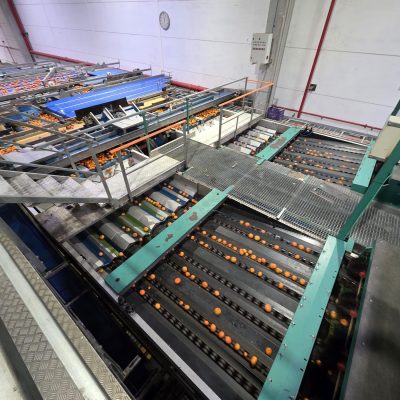 WhatsApp Image 2025-12-17 at 17.52.11 (1)