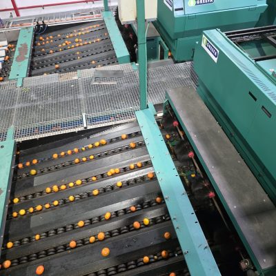 WhatsApp Image 2025-12-17 at 17.52.12 (1)