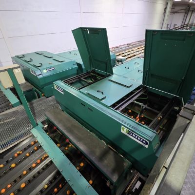 WhatsApp Image 2025-12-17 at 17.52.12 (2)