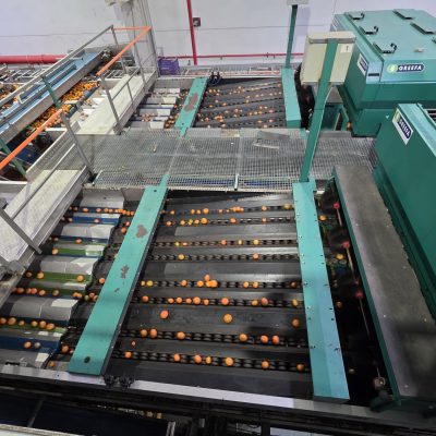 WhatsApp Image 2025-12-17 at 17.52.12 (3)