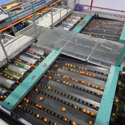 WhatsApp Image 2025-12-17 at 17.52.12