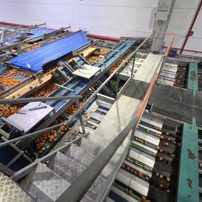 WhatsApp Image 2025-12-17 at 17.52.13