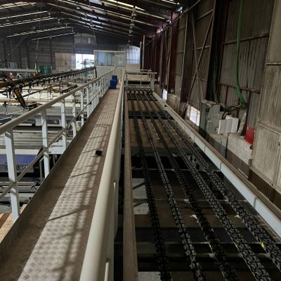 WhatsApp Image 2025-12-17 at 17.56.44 (2)