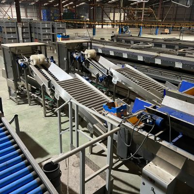 WhatsApp Image 2025-12-17 at 17.56.44