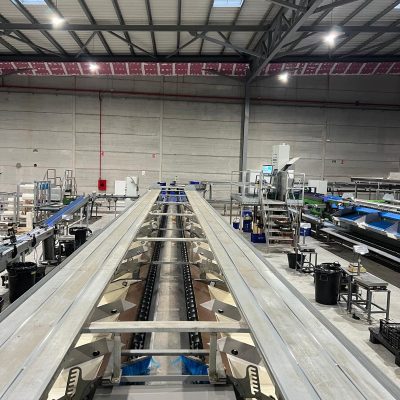 WhatsApp Image 2025-12-18 at 09.09.43 (3)