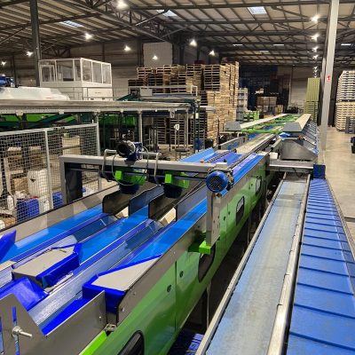 WhatsApp Image 2025-12-18 at 09.09.43 (4)