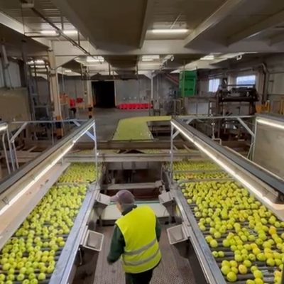 WhatsApp Image 2025-12-18 at 16.47.09