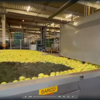 WhatsApp Image 2025-12-18 at 16.47.36