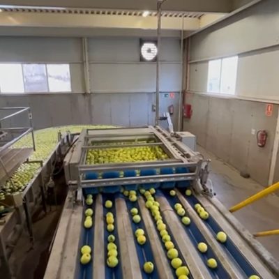 WhatsApp Image 2025-12-18 at 16.48.19