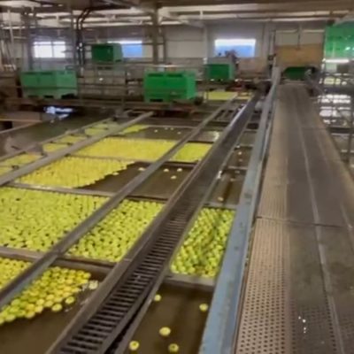 WhatsApp Image 2025-12-18 at 16.57.59