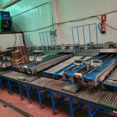 WhatsApp Image 2025-12-26 at 15.37.36 (1)