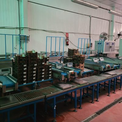 WhatsApp Image 2025-12-26 at 15.37.36 (2)