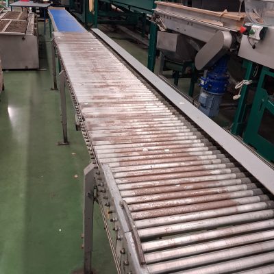 WhatsApp Image 2026-01-08 at 14.40.13 (1)