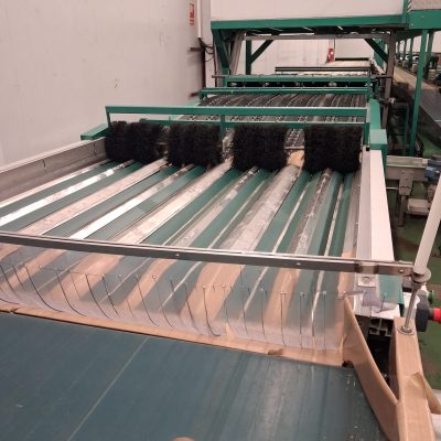 WhatsApp Image 2026-01-08 at 14.40.13 (2)