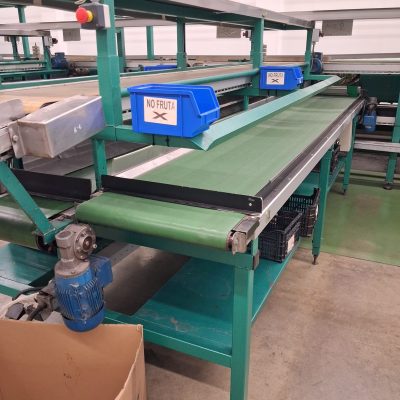 WhatsApp Image 2026-01-08 at 14.40.14 (6)