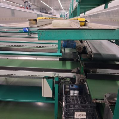 WhatsApp Image 2026-01-08 at 14.40.15 (1)