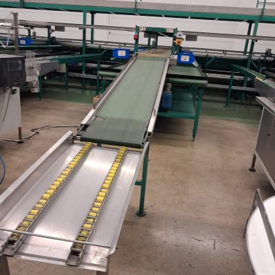 WhatsApp Image 2026-01-08 at 14.40.15 (5)