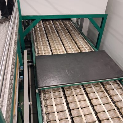 WhatsApp Image 2026-01-08 at 14.40.16 (1)