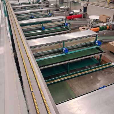 WhatsApp Image 2026-01-08 at 14.40.17