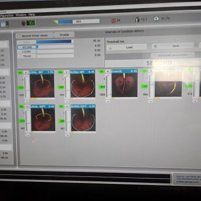 WhatsApp Image 2026-01-19 at 16.21.51 (1)