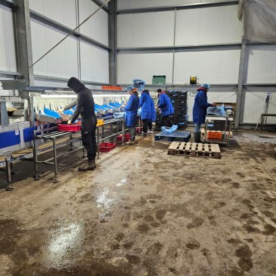 WhatsApp Image 2026-01-19 at 16.21.51 (2)