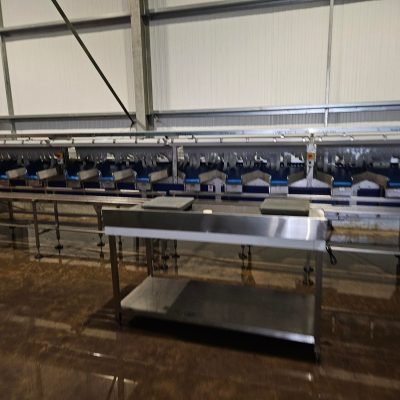 WhatsApp Image 2026-01-19 at 16.21.51