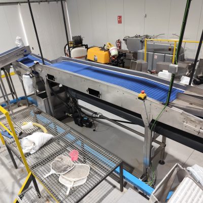 WhatsApp Image 2026-01-20 at 13.26.29 (1)