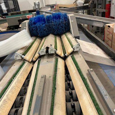 WhatsApp Image 2026-01-24 at 17.33.26