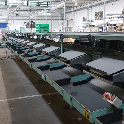 WhatsApp Image 2026-01-24 at 17.35.54 (4)