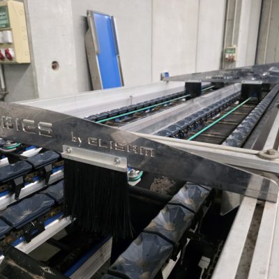 WhatsApp Image 2026-01-28 at 18.47.06