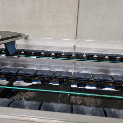 WhatsApp Image 2026-01-28 at 18.47.07 (1)