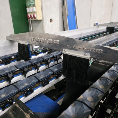 WhatsApp Image 2026-01-28 at 18.47.07 (3)