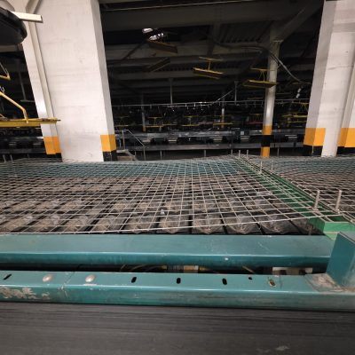 WhatsApp Image 2026-01-28 at 18.53.37