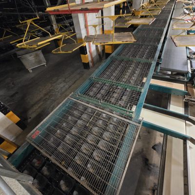 WhatsApp Image 2026-01-28 at 18.53.41 (2)