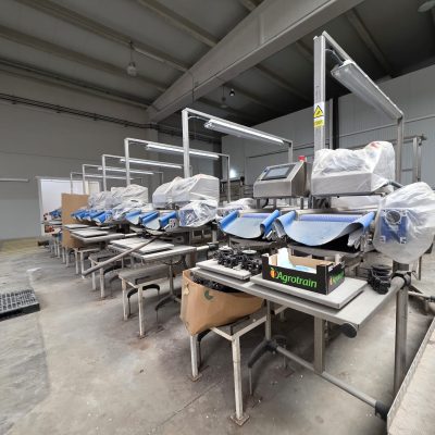 WhatsApp Image 2026-01-31 at 18.50.23