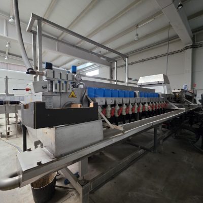 WhatsApp Image 2026-01-31 at 18.50.24 (2)