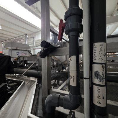 WhatsApp Image 2026-01-31 at 18.50.24 (3)