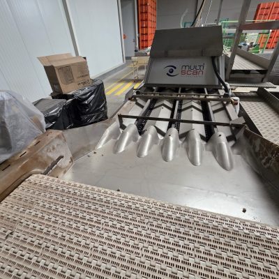 WhatsApp Image 2026-01-31 at 18.50.25 (3)