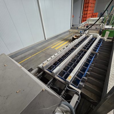 WhatsApp Image 2026-01-31 at 18.50.25