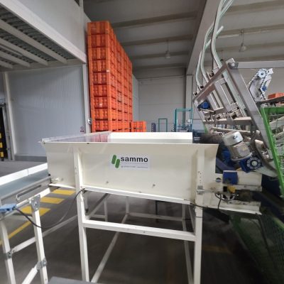 WhatsApp Image 2026-01-31 at 18.51.29 (4)